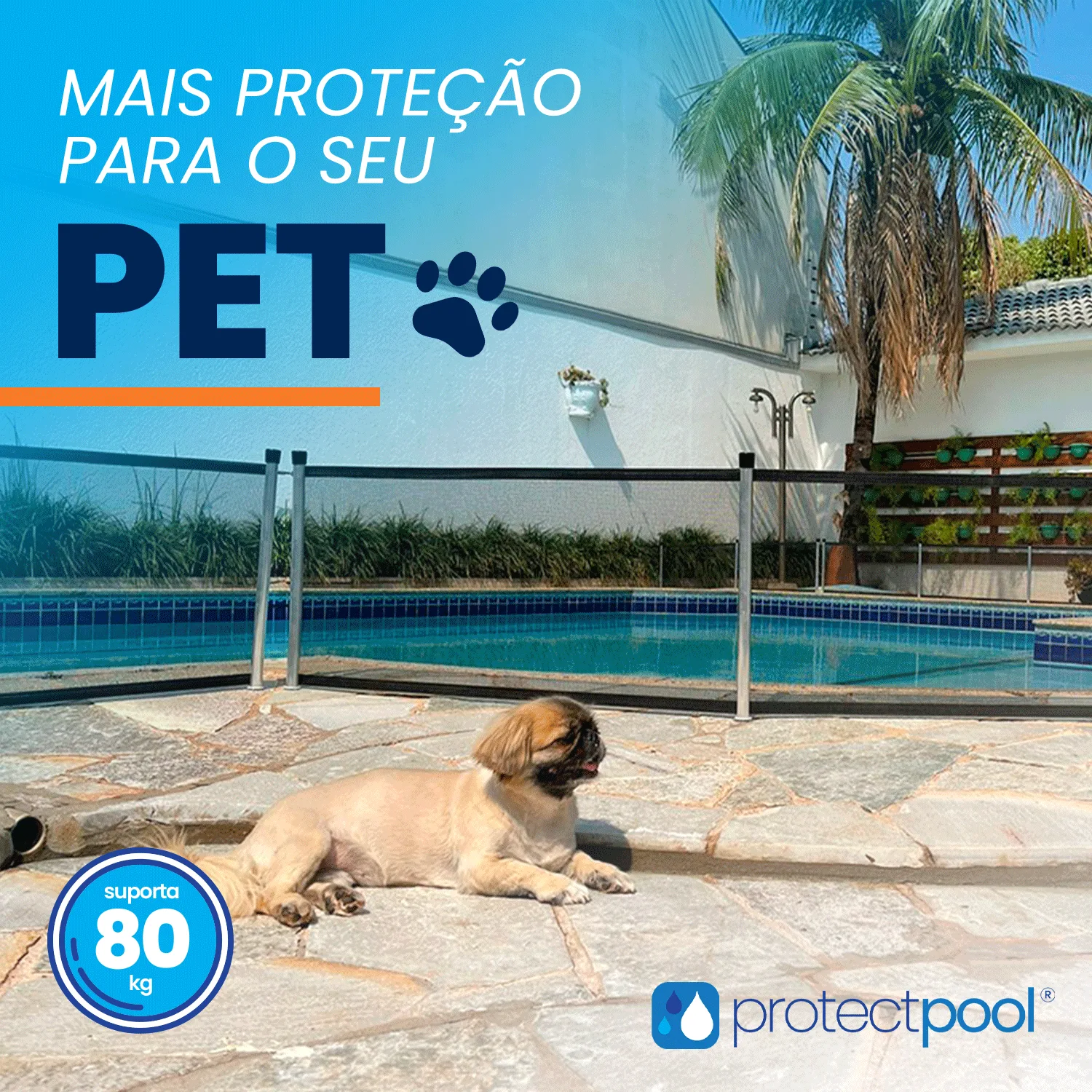 Cerca Removível Pet